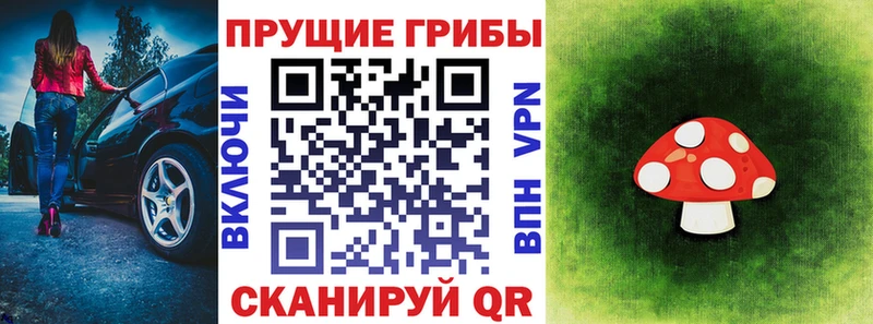 наркошоп  Кимовск  Псилоцибиновые грибы Psilocybe 